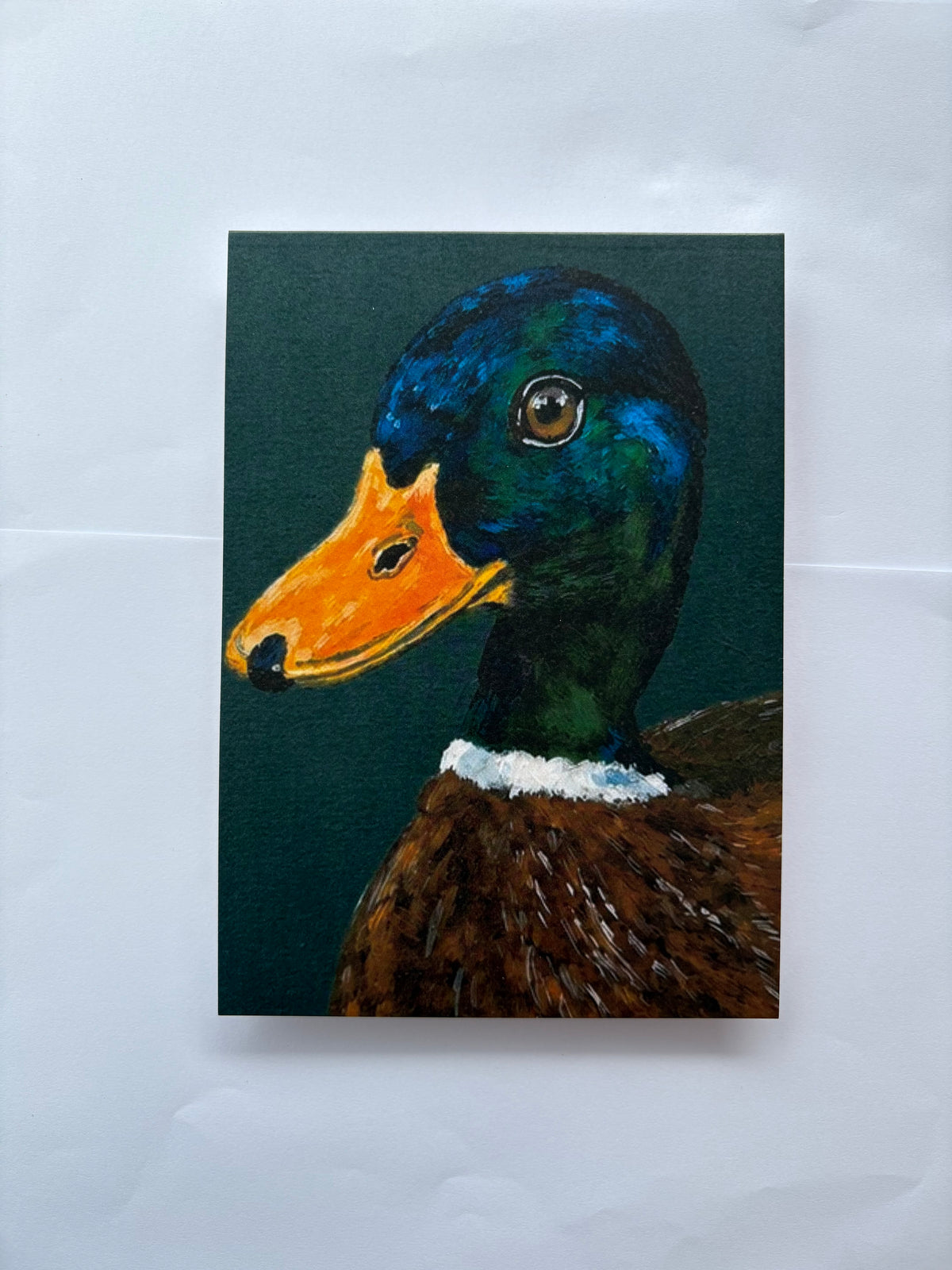 Olive A5 Fine Art Print